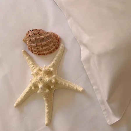 酒店 卡农酒店 卡诺海滩