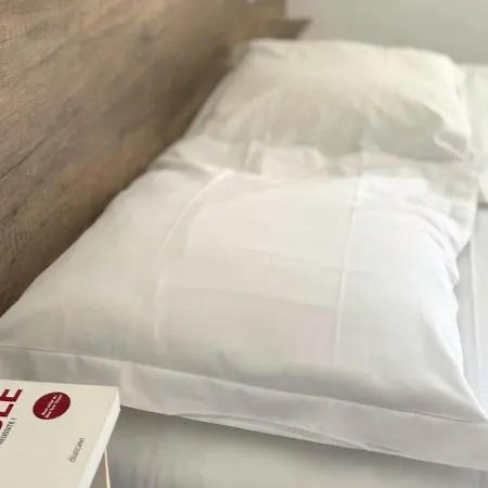 Hotel Le Carnon-Plage